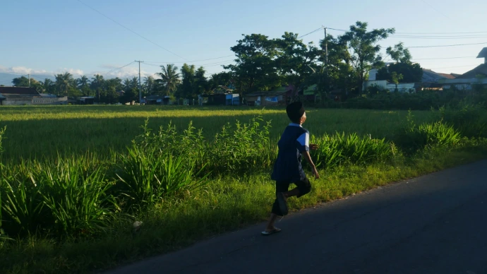 A boy is running on a road near a field.